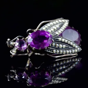 Antique Victorian Amethyst Pearl Bug Brooch 10Ct Amethyst Silver Circa 1900