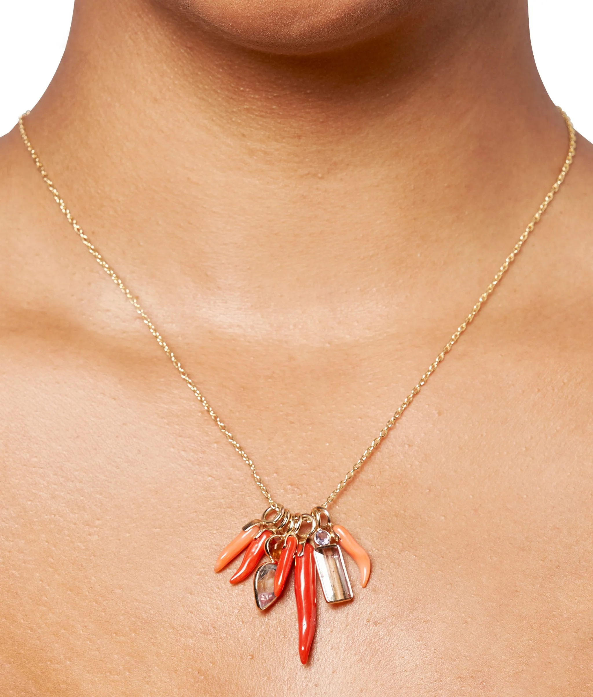 Dark Red Long Coral Horn 14k Gold Necklace Charm