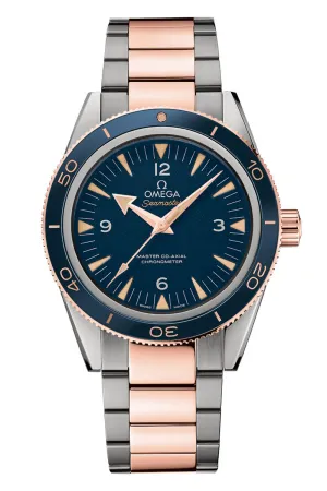 Omega Seamaster Seamaster 300 233.60.41.21.03.001